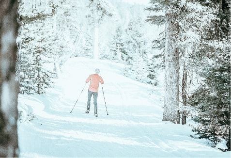 A cross-country skier on a snowy trail.